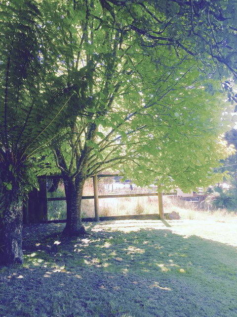 Wandering Geese Boutique Bed And Breakfast - Accommodation Cooktown 30