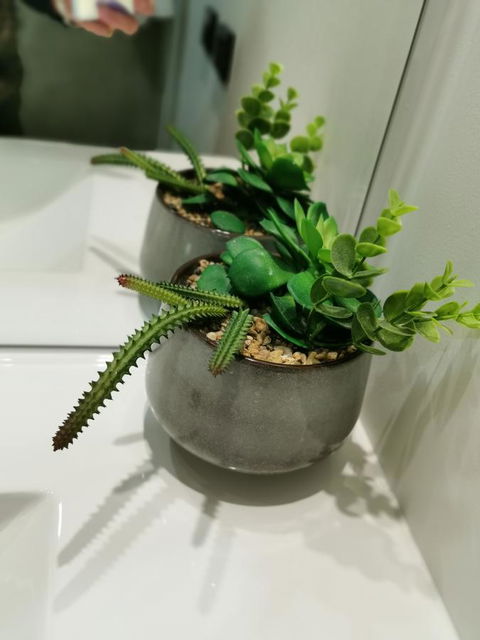 Youngtown Executive Apartments - 2BR Included, Free Parking & Wifi, Sofa Bed & Cot Fee Applies - Accommodation Cooktown 26