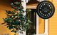Ship Inn Stanley - thumb 21