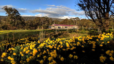 Mountain Blue Guest House - Accommodation Cooktown 3
