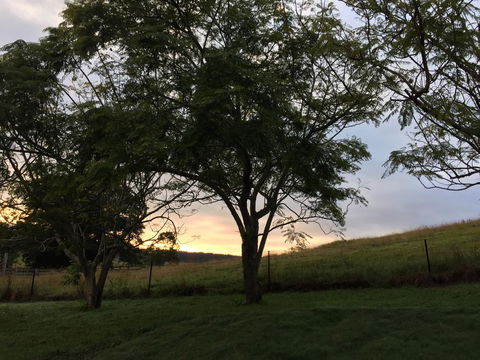 Ponytail Farmhouse - Accommodation Cooktown 0