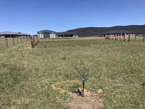 Rosehill Vines - Accommodation Cooktown 3