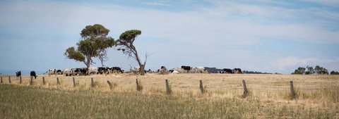 SALT - 37 Oceanview Drive - Accommodation Cooktown 2