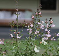 Serendipity on Allyn - Accommodation Cooktown