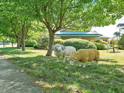 Sinden Park - Garden, Swimming Pool, Rural Vistas - Accommodation Cooktown 2