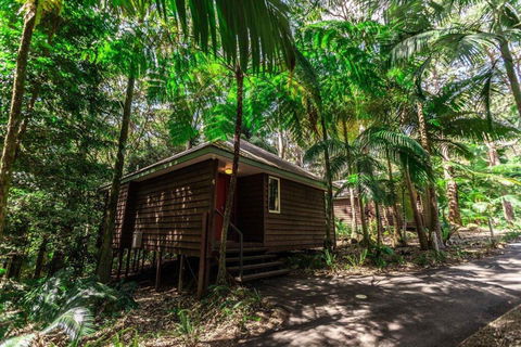 Songbirds Rainforest Retreat - Accommodation Cooktown 2