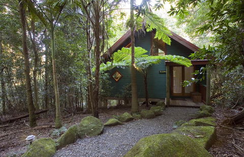 Springbrook Lyrebird Retreat - Accommodation Cooktown 1