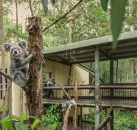 Springwood Meditation Centre - Accommodation Cooktown