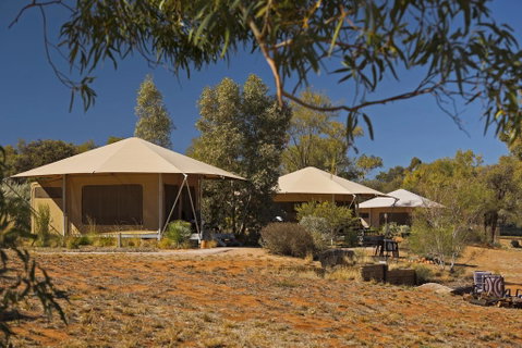 Squeakywindmill Boutique Tent B&B - Accommodation Cooktown 0