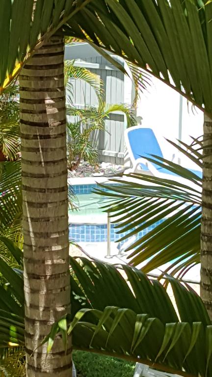 Studio Apartment Mooloolaba Beach Holiday Management - Accommodation Cooktown 0