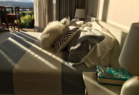 Studio With Stunning Mountain Views - Accommodation Cooktown 2