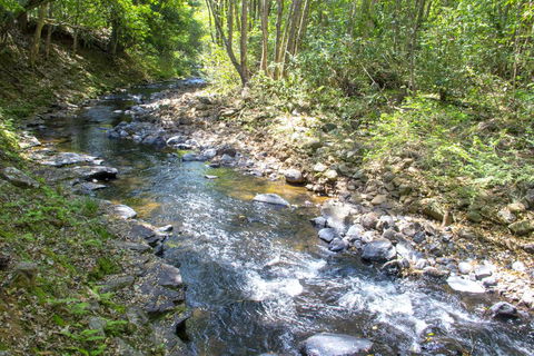 Tallaringa Views - Accommodation Cooktown 0