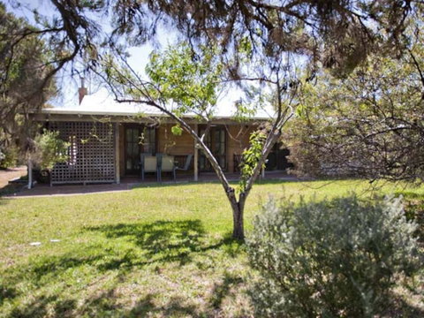Tea Tree - Accommodation Cooktown 1
