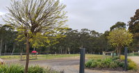 Book Lebrina Accommodation Vacations Accommodation Cooktown Accommodation Cooktown