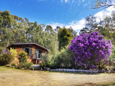 Southern Forest Accommodation - Accommodation Cooktown 10