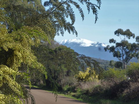 Southern Forest Accommodation - Accommodation Cooktown 24