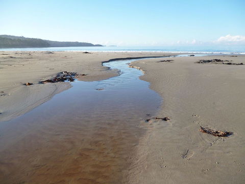Southern Forest Accommodation - Accommodation Cooktown 28