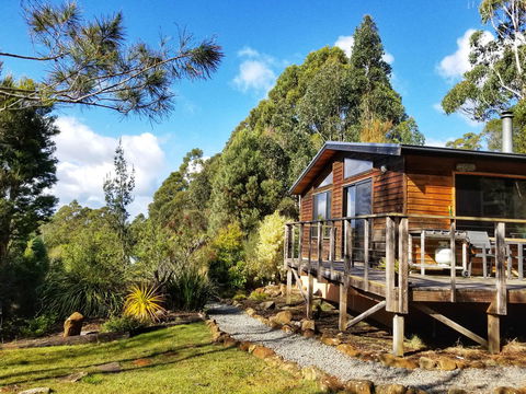 Southern Forest Accommodation - Accommodation Cooktown 0