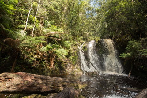 Strahan Village - Accommodation Cooktown 27