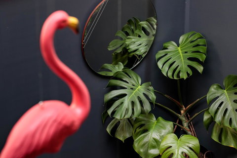 Alabama Hotel Hobart - Accommodation Cooktown 15