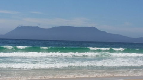 Beezneez B&B - Accommodation Cooktown 17