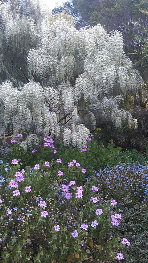 Beezneez B&B - Accommodation Cooktown 15