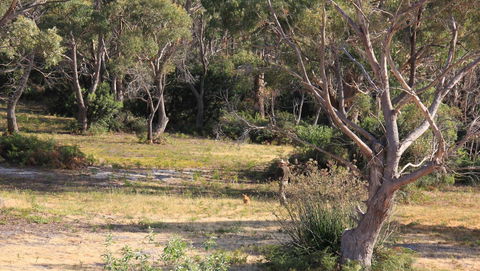 BAY OF FIRES SEACHANGE Ocean Frontage - Accommodation Cooktown 12