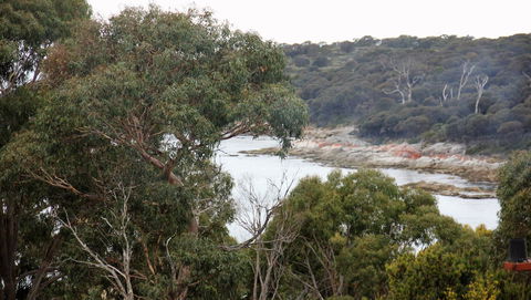 BAY OF FIRES SEACHANGE Ocean Frontage - Accommodation Cooktown 15