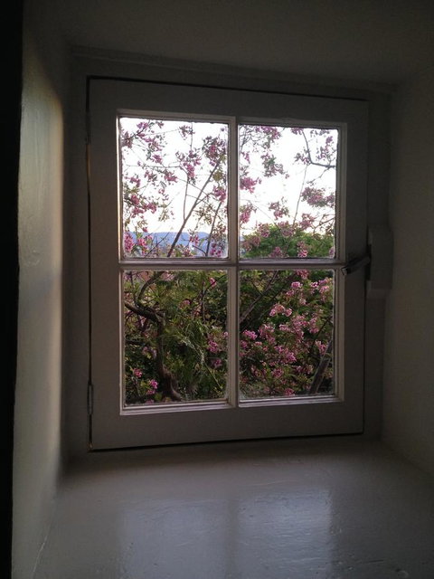Blue Magnolia - Accommodation Cooktown 36