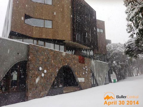 Buller Central Hotel - Accommodation Cooktown 11