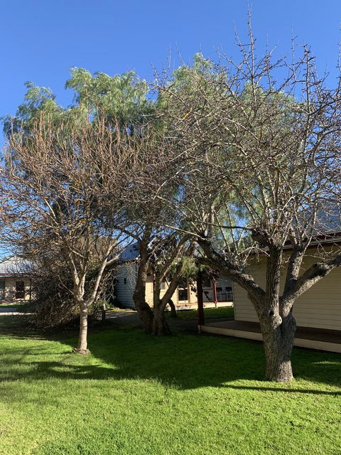 Dunkeld Studio Accommodation - Accommodation Cooktown 4