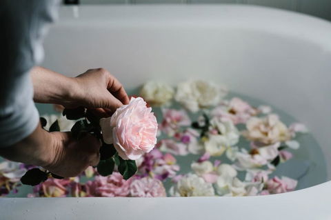 Acre Of Roses - Accommodation Cooktown 7