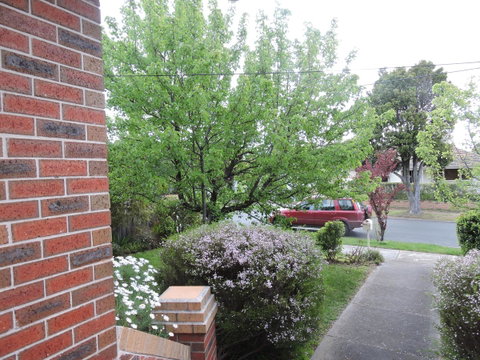 Monash And Chadstone WiFi - Accommodation Cooktown 2
