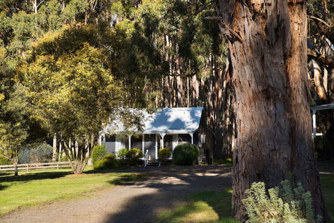 Bodhi Daylesford - Accommodation Cooktown 8
