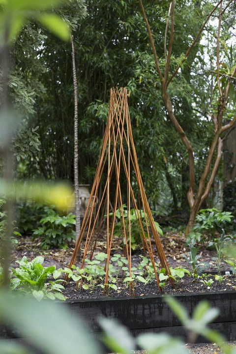 Botanica Editions - Accommodation Cooktown 23