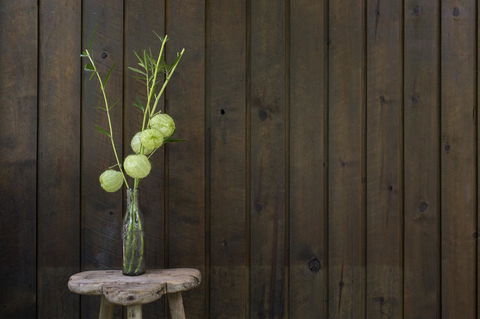 Botanica Editions - Accommodation Cooktown 10