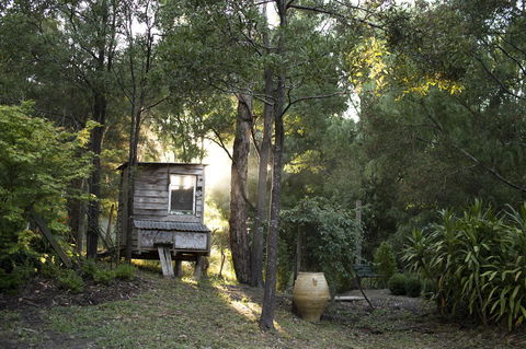 Botanica Editions - Accommodation Cooktown 31