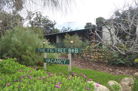 The Fig Tree B&B - Accommodation Cooktown 0