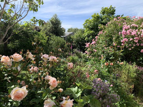 The Racecourse Inn - Accommodation Cooktown 2