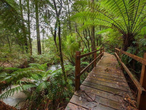 The Source, Otways - Accommodation Cooktown 0