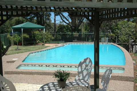 The Tree Motel - Accommodation Cooktown 0