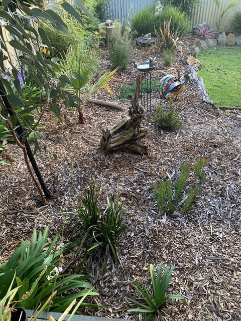 Torquoise Waters - Bed & Breakfast - Accommodation Cooktown 2
