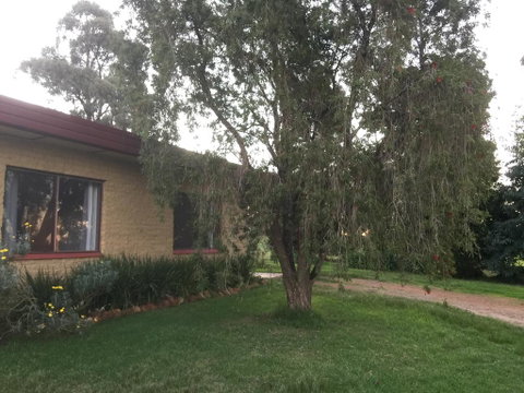 Tree Of Love Farm Stay - Accommodation Cooktown 1