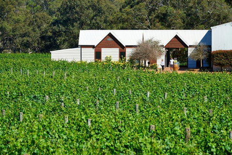 Upper Reach Spa Cottage - Accommodation Cooktown 0