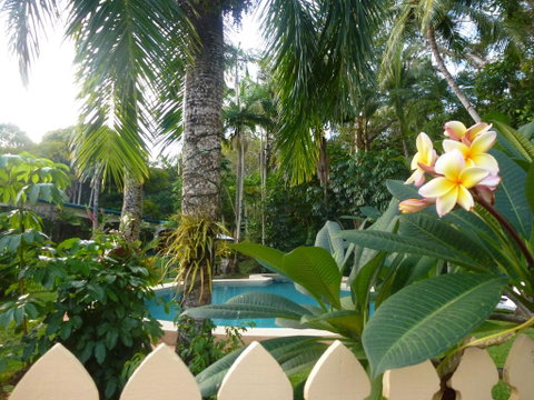 Villa Marine Holiday Apartments Cairns - Accommodation Cooktown 1