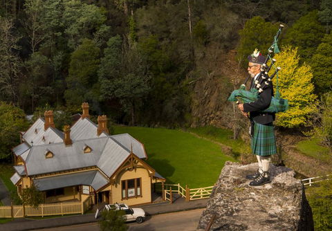 Walhalla Wild Cherry - Accommodation Cooktown 2