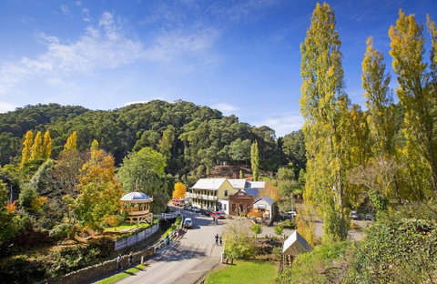 Walhalla's Star Hotel - Accommodation Cooktown 0