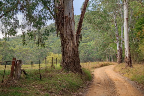 Alpine Aspects - Accommodation Cooktown 10