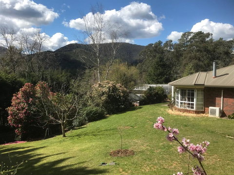 Alpine Aspects - Accommodation Cooktown 23