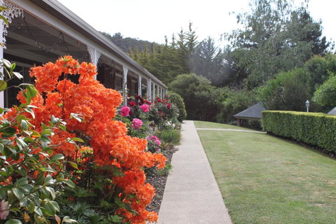 Alpine Aspects - Accommodation Cooktown 34
